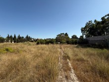 Satılır Torpaq mardakan, -2