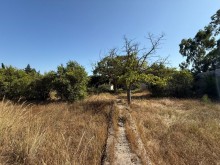 Satılır Torpaq mardakan, -5