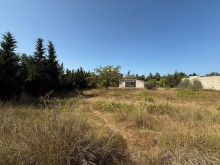 Satılır Torpaq mardakan, -8