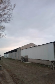 Satılır FERMA  Xaçmaz rayonu, -5