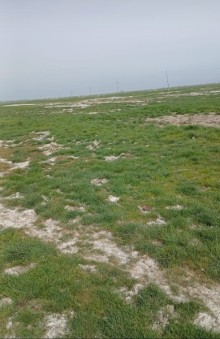Sale Land xacmaz, -3