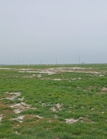Sale Land xacmaz, -4