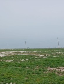 Sale Land xacmaz, -5