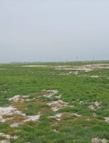 Sale Land xacmaz, -6
