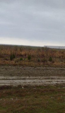 Satılır Torpaq xizi, -5