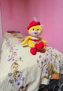 Kirayə (Günlük) Goradil heyet evleri, -18