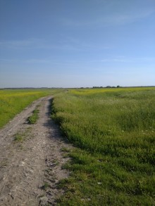 satilir-torpaq-xacmaz-22-1759067039-s