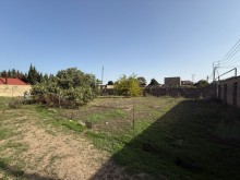 buzovna Satılır Torpaq, -6