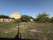 buzovna Satılır Torpaq, -7