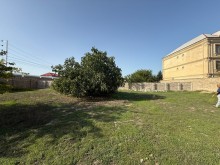 buzovna Satılır Torpaq, -11