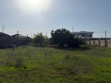 buzovna Satılır Torpaq, -12