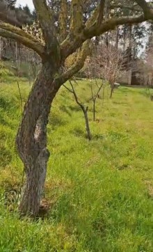 satilir-torpaq-baki-bineqedi-bileceri-avtovagzal-11-1759847146-s