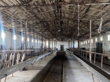 FERMA satılır Pirəkəşkül, -14