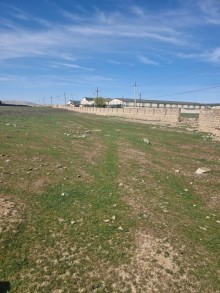 QOBUDA Herba Flora ilə üzbəüz Satılır Torpaq, -3