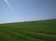 Satılır Torpaq Aeroport-Zığ yolunda, -2