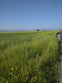 Satılır Torpaq Aeroport-Zığ yolunda, -3