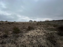 suvelan Satılır Torpaq 12 sot, -3