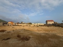 Satılır Torpaq buzovna, -7