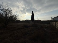 Satılır Torpaq suvelan, -3